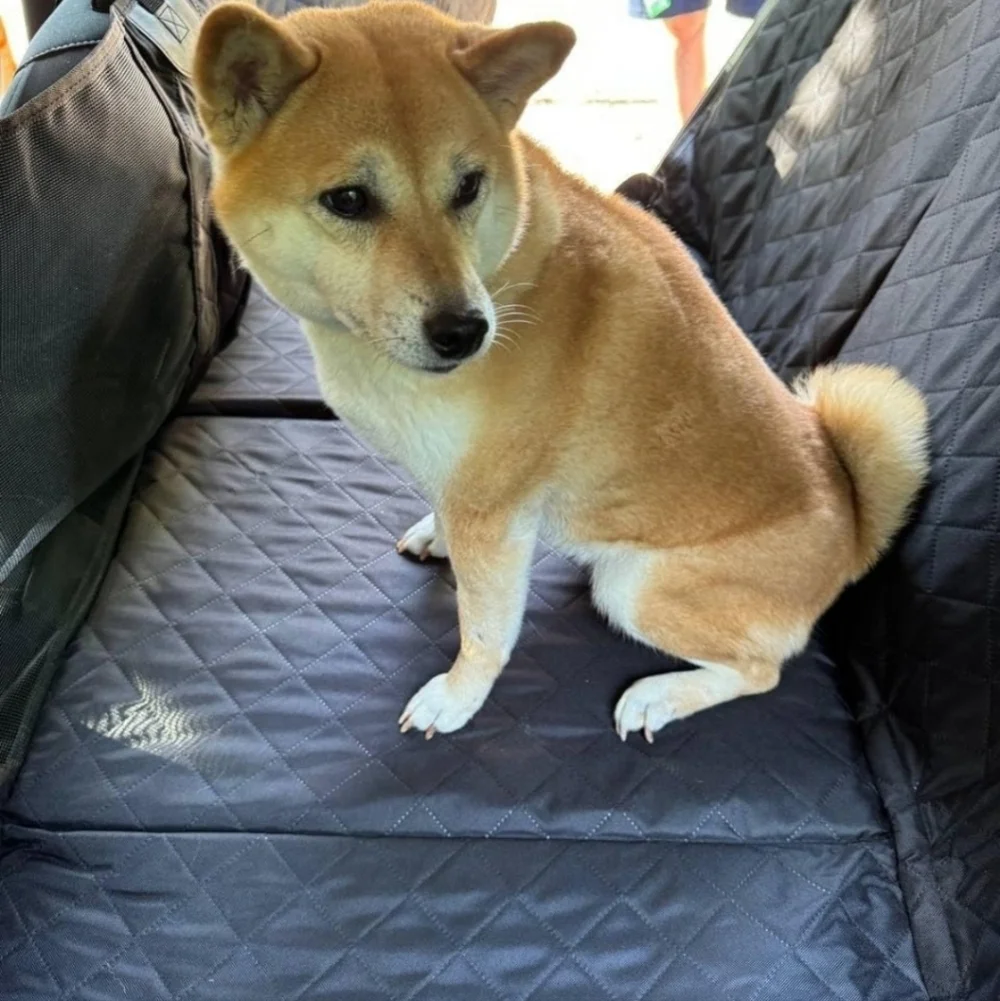 Premium Back Seat Cover for Dogs